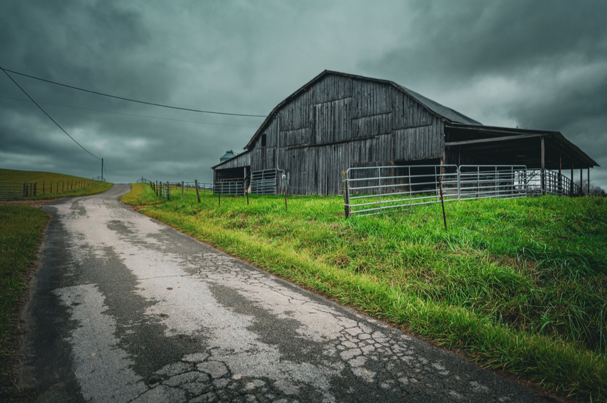 Photograph by Brandon Edling