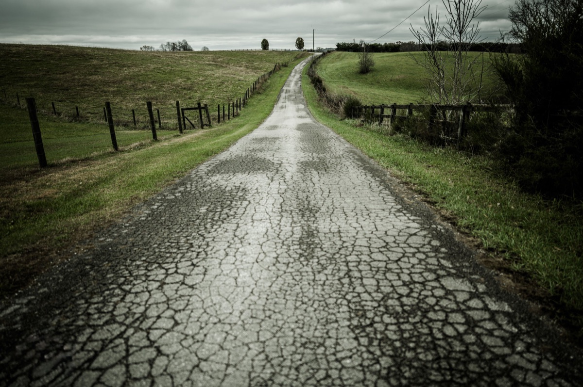 Photograph by Brandon Edling