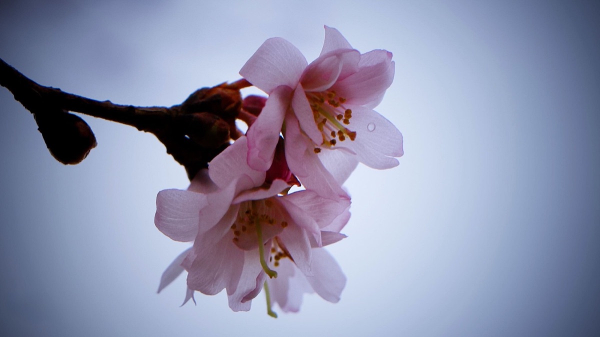 Photograph by Brandon Edling