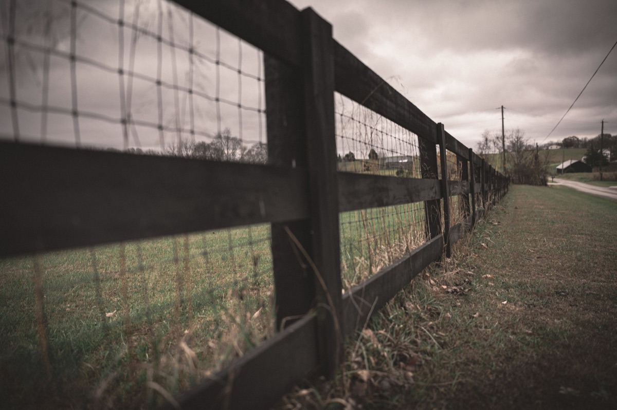 Photograph by Brandon Edling