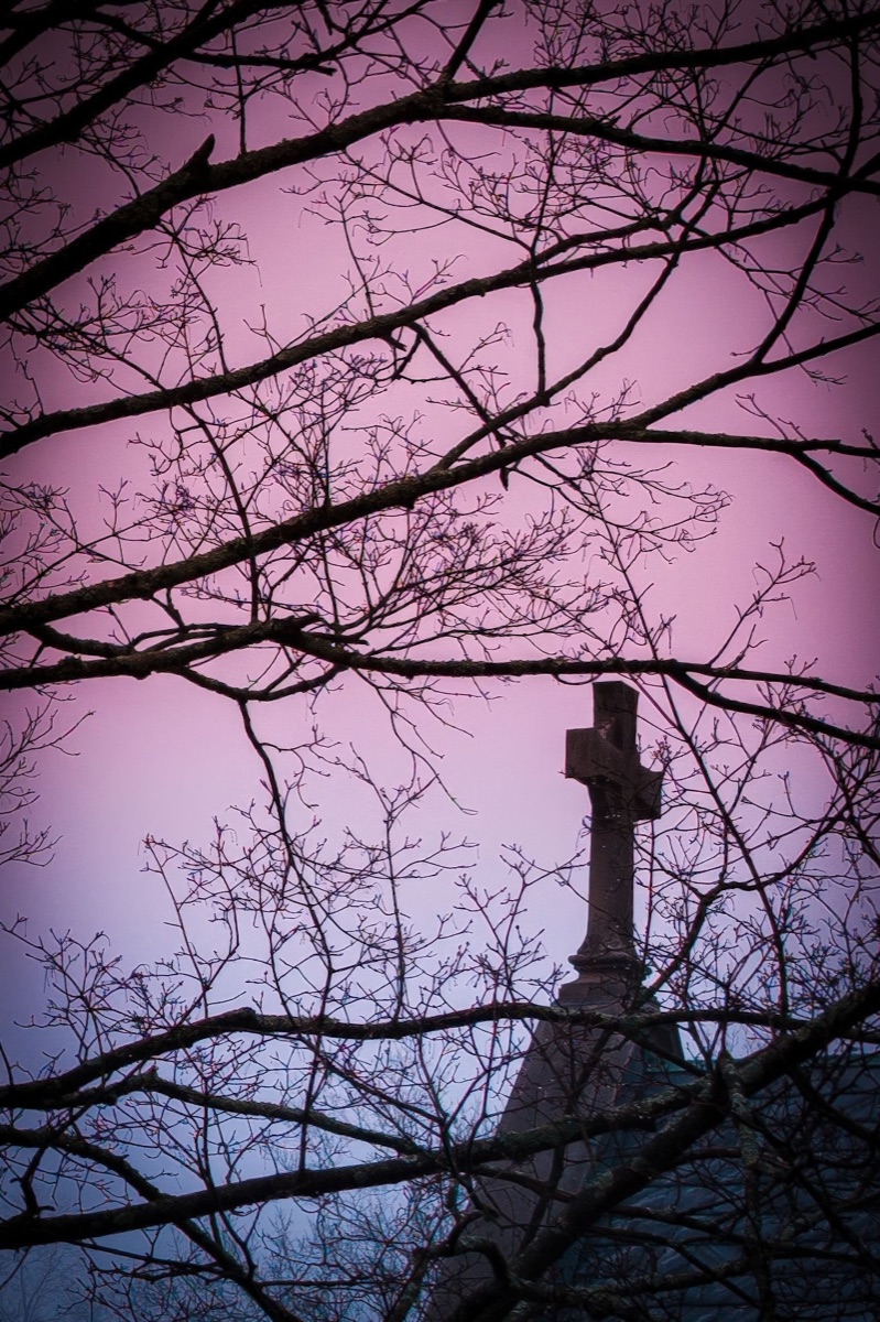 Photograph by Brandon Edling