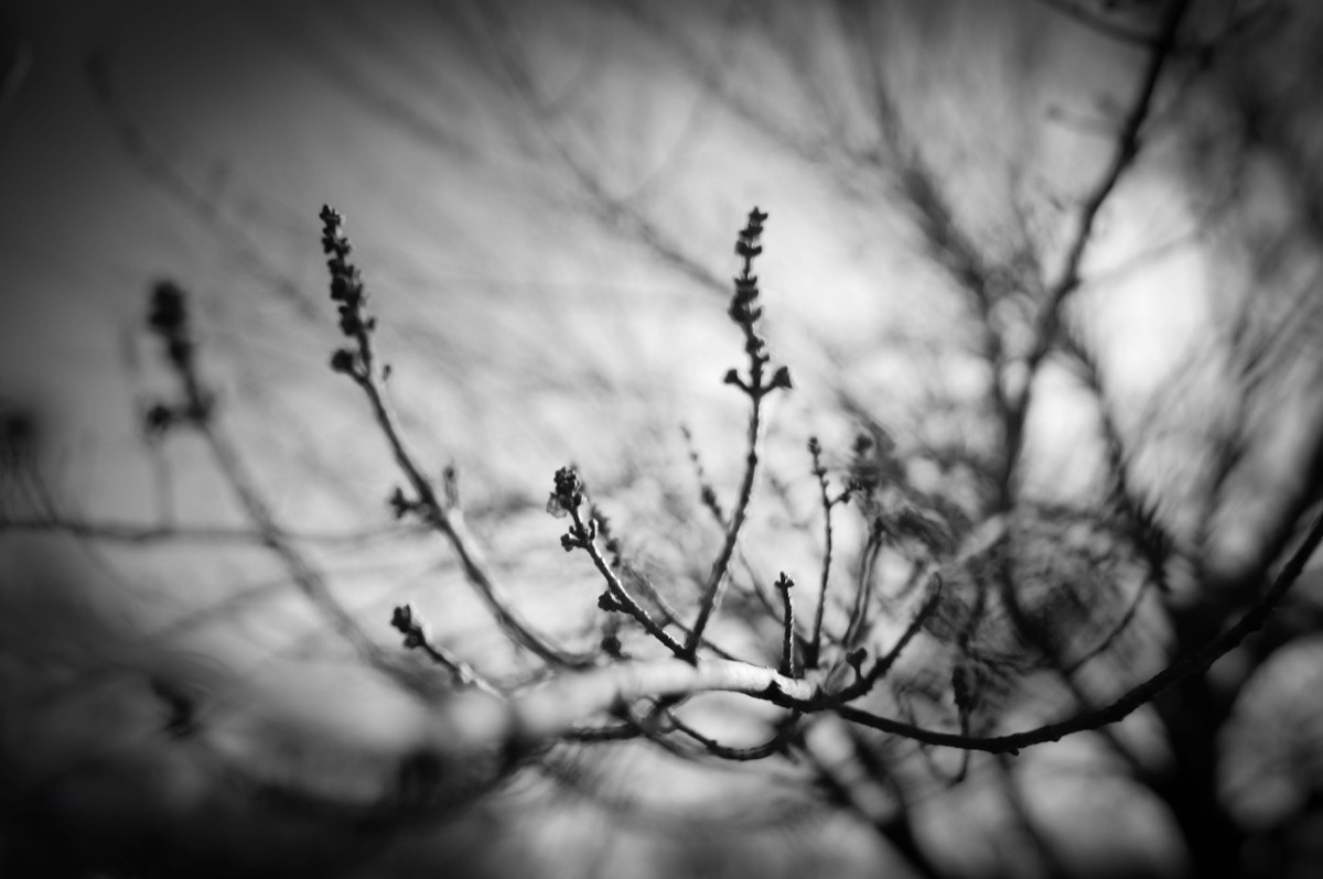 Photograph by Brandon Edling