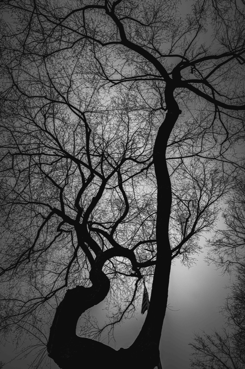 Photograph by Brandon Edling