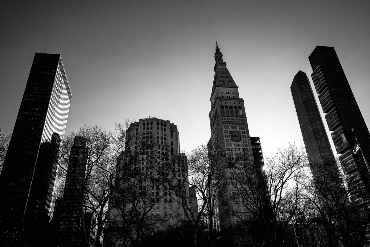 Photograph by Brandon Edling