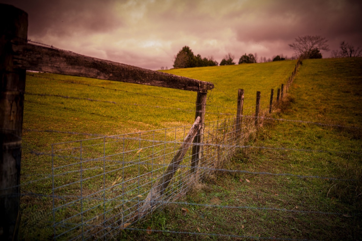Photograph by Brandon Edling