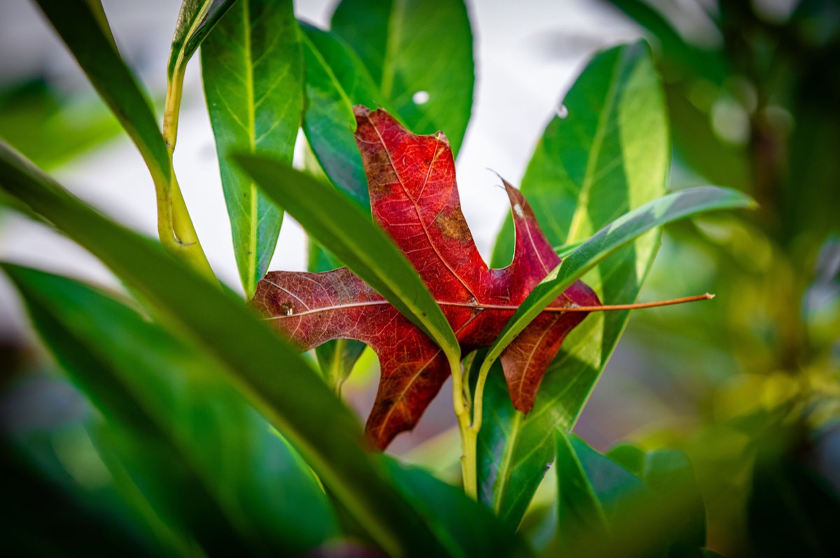 Photograph by Brandon Edling