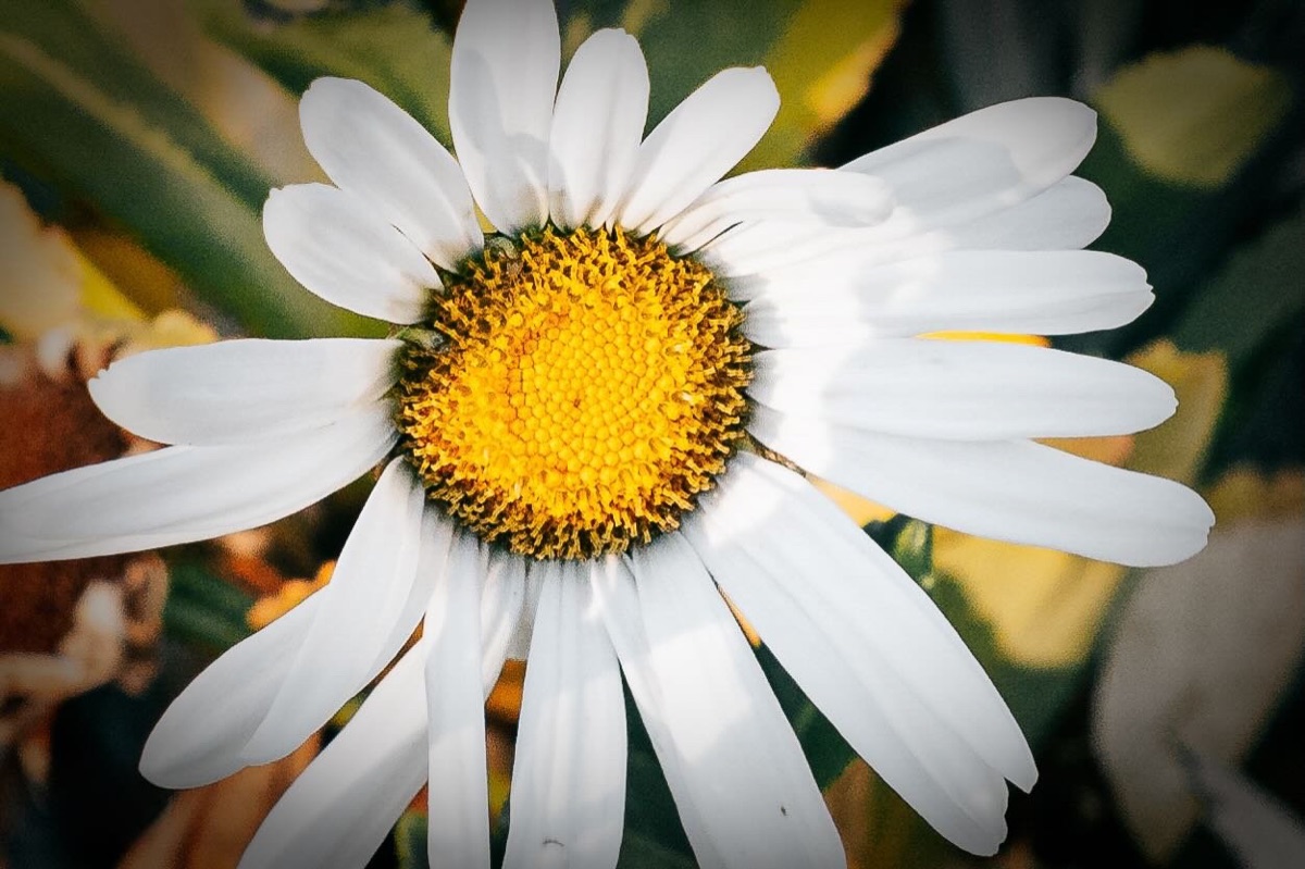 Photograph by Brandon Edling
