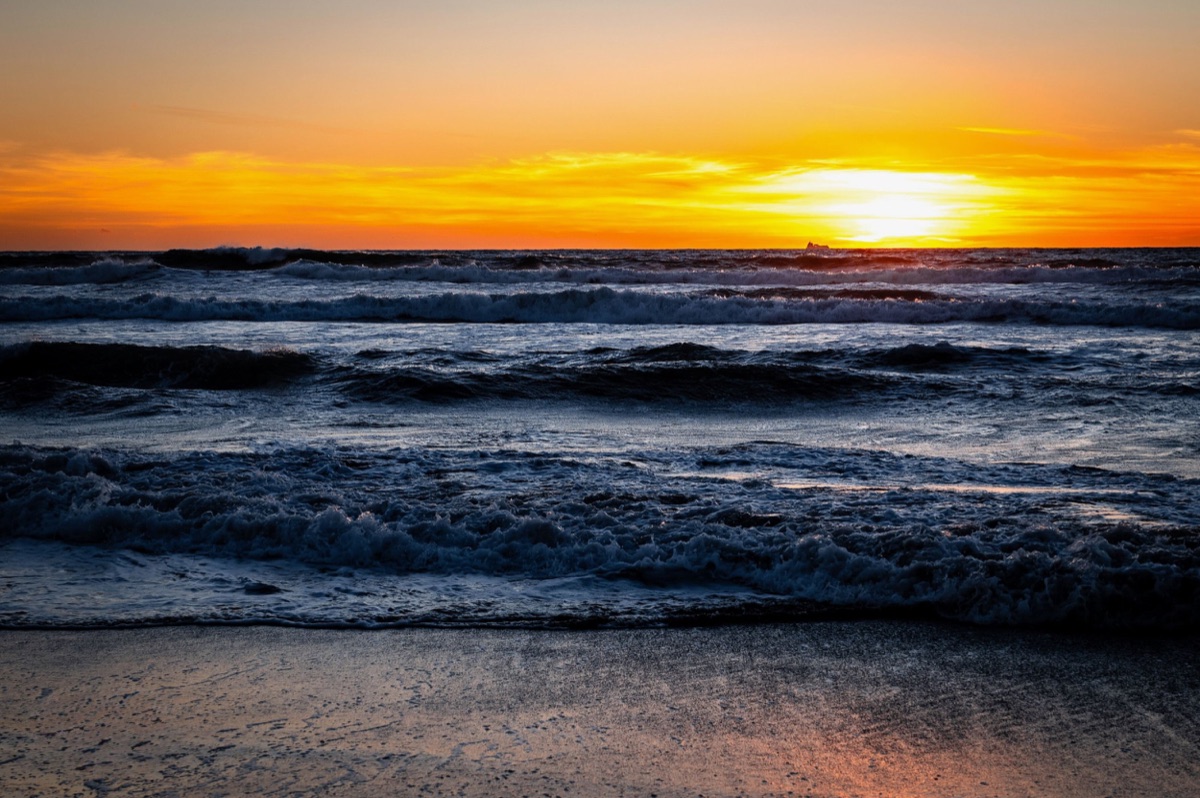 Photograph by Brandon Edling