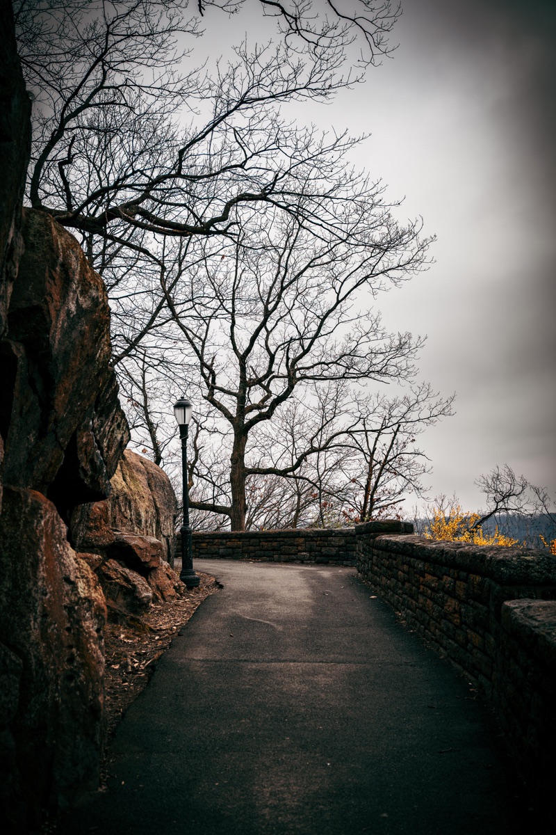 Photograph by Brandon Edling