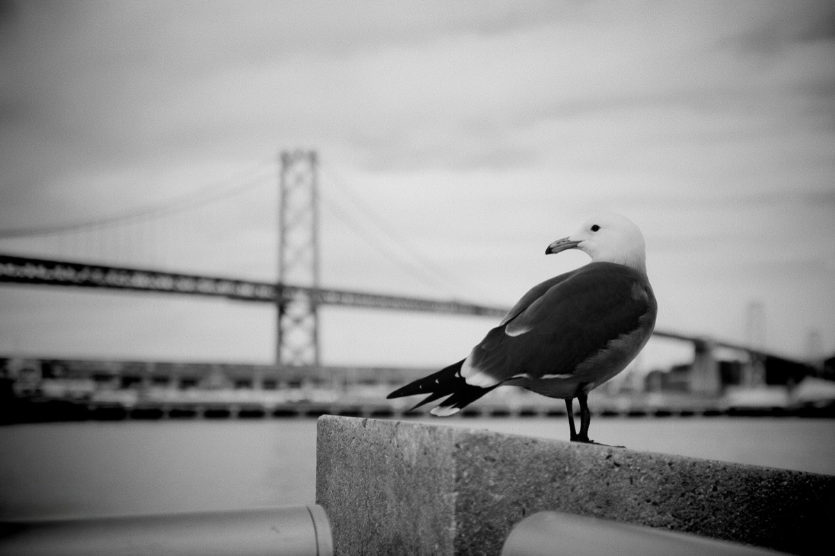 Photograph by Brandon Edling