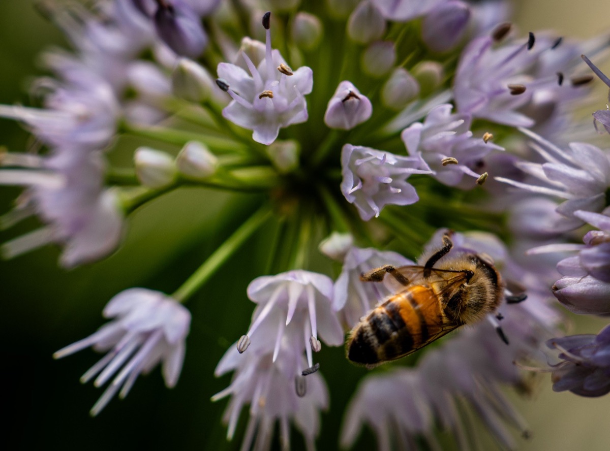 Photograph by Brandon Edling