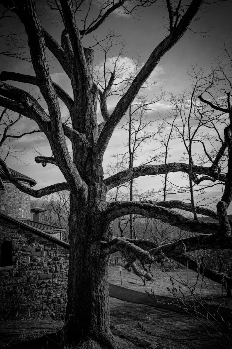 Photograph by Brandon Edling