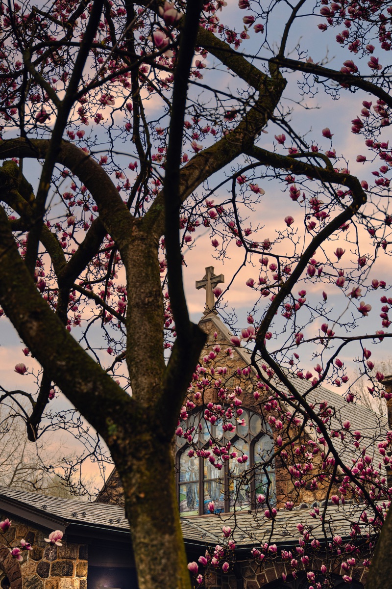Photograph by Brandon Edling