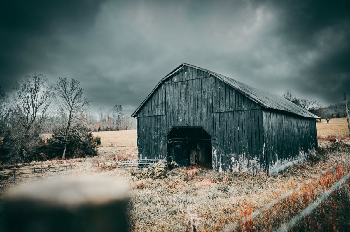Photograph by Brandon Edling