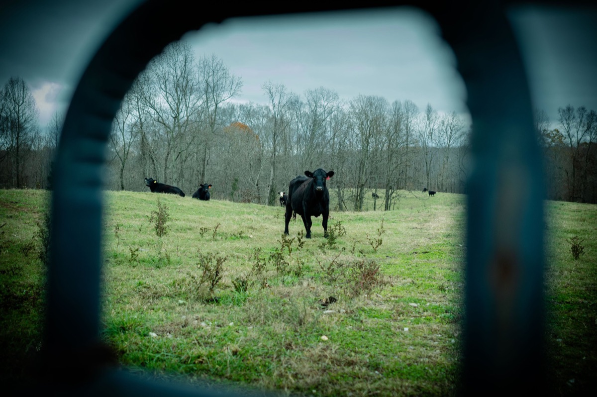 Photograph by Brandon Edling