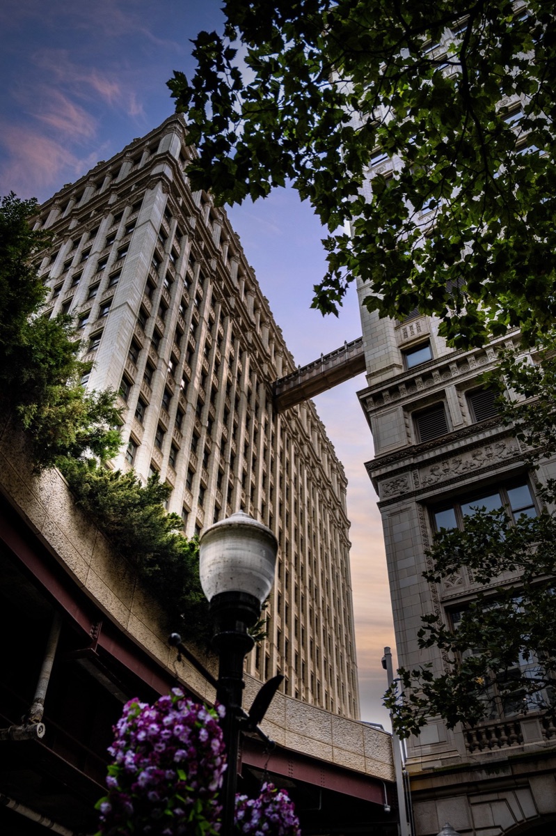 Photograph by Brandon Edling