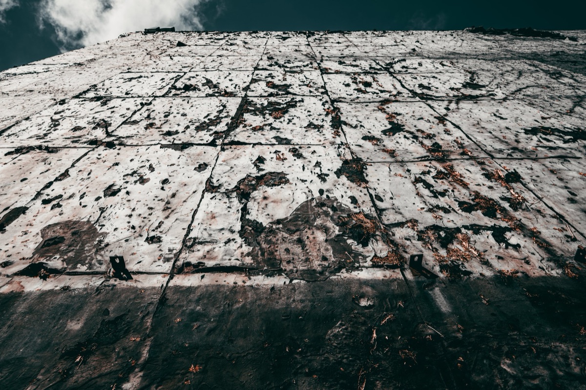 Photograph by Brandon Edling