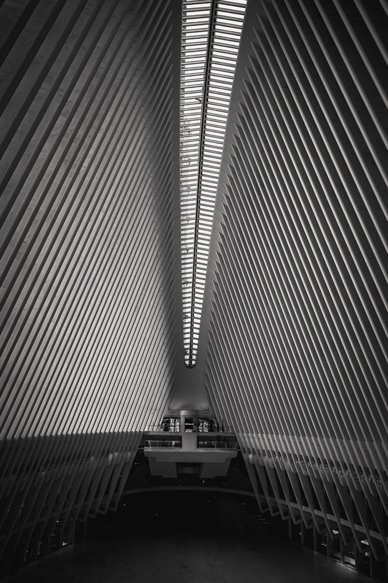 Photograph by Brandon Edling