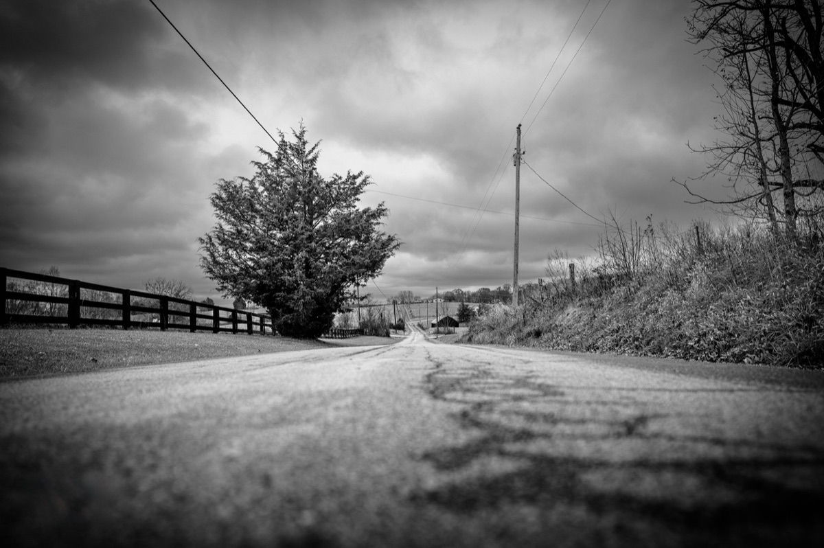 Photograph by Brandon Edling